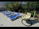 Apartmány Olive Garden - swimming pool: A1(4), A2(4), A3(4), SA4(2), SA5(2) Biograd - Riviera Biograd  - zahrada