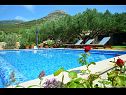 Prázdninový dům/vila Vojo - private swimming pool: H(4) Bol - Ostrov Brač  - Chorvatsko  - dům