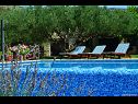 Prázdninový dům/vila Vojo - private swimming pool: H(4) Bol - Ostrov Brač  - Chorvatsko  - nekrytý bazén (dům a okolí)