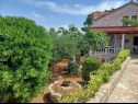 Prázdninový dům/vila Lumos - panoramic view & olive garden: H(10) Postira - Ostrov Brač  - Chorvatsko  - zeleň