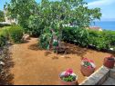Prázdninový dům/vila Lumos - panoramic view & olive garden: H(10) Postira - Ostrov Brač  - Chorvatsko  - zahrada