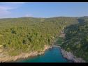 Prázdninový dům/vila Irena - secluded paradise; H(4+1) Zátoka Prapatna (Pucisca) - Ostrov Brač  - Chorvatsko  - vegetace