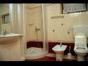 Apartmány DeMar - 70m from sea: A1-crveni(4), A2-zeleni(3), A3-plavi(3) Splitska - Ostrov Brač  - Apartmán - A1-crveni(4): koupelna s WC