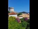 Pokoje Garden - with a view: R1(2) Dubrovnik - Riviera Dubrovnik  - pohled (dům a okolí)