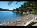 Prázdninový dům/vila Senka1 - pure nature & serenity: H(2) Zátoka Tudorovica (Vela Luka) - Ostrov Korčula  - Chorvatsko  - pláž