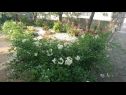 Apartmány Dorica - flower garden A1(4) Krk - Ostrov Krk  - zahrada
