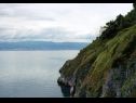 Prázdninový dům/vila Bernardica - on cliffs above sea: H(6+2) Vrbnik - Ostrov Krk  - Chorvatsko  - vegetace