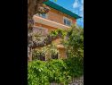 Apartmány Giuseppe - green terrace: A1(4) Mali Lošinj - Ostrov Lošinj  - dům