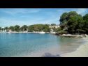Prázdninový dům/vila Vlasta - near sea: H(4+1) Primošten - Riviera Šibenik  - Chorvatsko  - pláž