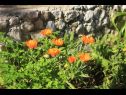 Apartmány Rosemary - gorgeous garden : A1(4+1), A2(4+1) Rogoznica - Riviera Šibenik  - květinový záhon