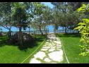 Apartmány Ivan Z - 10 m from sea: A3(2), A4(2) Seline - Riviera Zadar  - zahrada