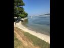 Apartmány Andy - only 50 m from beach: A1(3+1), A2(2+1), SA1(2) Sukošan - Riviera Zadar  - pláž