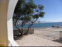Apartmány Stjepan - 10 m from beach A1 prizemlje desno(2+2), A2 prizemlje lijevo(2+2), A3 1.kat lijevo(2+2) Vir - Riviera Zadar  - Apartmán - A1 prizemlje desno(2+2): výhled  na moře