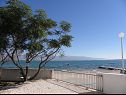 Apartmány Stjepan - 10 m from beach A1 prizemlje desno(2+2), A2 prizemlje lijevo(2+2), A3 1.kat lijevo(2+2) Vir - Riviera Zadar  - výhled  na moře (dům a okolí)