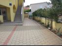 Apartmány Vanja - terrace & BBQ A1(4+2), A2(4+1) Vir - Riviera Zadar  - dvůr