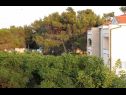 Apartmány VINK - 80 m from beach A2(4), A3(4), A4(4) Vir - Riviera Zadar  - Apartmán - A4(4): pohled (dům a okolí)