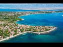 Apartmány Sanja - 100 meters to the beach A1(4+1), A2(4+1), A3(4+1), A4(4+1) Vir - Riviera Zadar  - detail