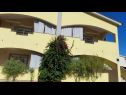 Apartmány Vanja - terrace & BBQ A1(4+2), A2(4+1) Vir - Riviera Zadar  - dům