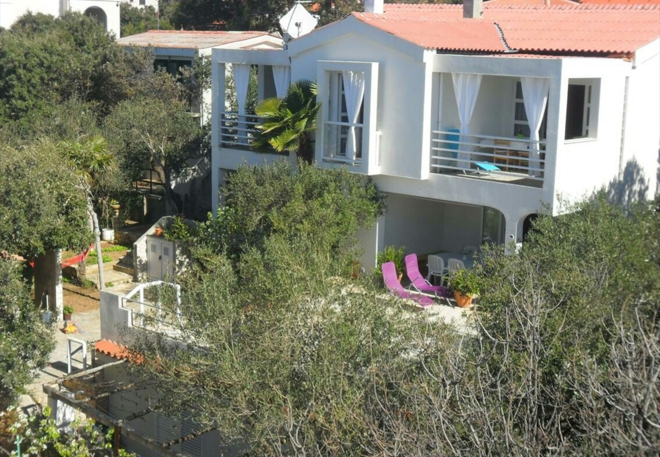 Apartmány Bari - 140 m from beach: A1(4+1), A2(4), A3(2+2) Mandre - Ostrov Pag 