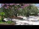 Apartmány Ljuba - nice garden: A2(4+1) Plavi, A4(8+1), A1(2+2) Okrug Gornji - Ostrov Čiovo  - květinový záhon (dům a okolí)