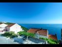 Apartmány Stane - modern & fully equipped: A1(2+2), A2(2+1), A3(2+1), A4(4+1) Cavtat - Riviera Dubrovnik  - výhled  na moře (dům a okolí)