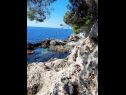 Apartmány Ana - cosy with sea view : A4(3+2), A5(3+2) Dubrovnik - Riviera Dubrovnik  - pláž