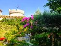Pokoje Garden - with a view: R1(2) Dubrovnik - Riviera Dubrovnik  - dům