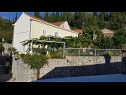 Prázdninový dům/vila Villa Marija - terrace H(6) Trsteno - Riviera Dubrovnik  - Chorvatsko  - dům