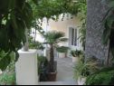 Prázdninový dům/vila Villa Marija - terrace H(6) Trsteno - Riviera Dubrovnik  - Chorvatsko  - dvůr (dům a okolí)