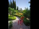 Apartmány Silverija - garden and parking: SA1(2+1), SA2(2), SA3(2), SA4(2) Trsteno - Riviera Dubrovnik  - zahrada