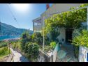 Apartmány Gordana A1(4) Zaton (Dubrovnik) - Riviera Dubrovnik  - dvůr