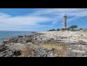 Prázdninový dům/vila Holiday Home near lighthouse H(4+2) Veli Rat - Ostrov Dugi otok  - Chorvatsko  - H(4+2): detail