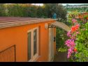 Apartmány Orange - garden terrace : SA1(2+1) Banjole - Istrie  - dům