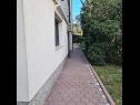 Apartmány Ena - with free private parking: A1 Anthea (2+2), A2 Floki (2+2) Rovinj - Istrie  - zahrada