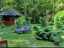 Prázdninový dům/vila Riverside house - beautiful nature: H(6) Žumberak - Kontinentální Chorvatsko - Chorvatsko  - vegetace
