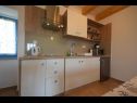 Apartmány Insula Insule - rustic & peaceful: SA1(2+1), SA2(2+1) Skrbčići - Ostrov Krk  - Studio apartmán - SA2(2+1): kuchyně