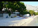 Apartmány Toni - 150m from pebble beach: A1 veliki (5) Baška Voda - Riviera Makarska  - pláž