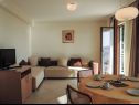 Apartmány Smilja - 150 m from pebble beach: A1(2+2), A2(2+1), SA3(2) Baška Voda - Riviera Makarska  - Apartmán - A1(2+2): obývák