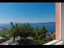 Apartmány Ruze - 200 m from sea : A1(6+1), A2(8+1) Brela - Riviera Makarska  - Apartmán - A2(8+1): pohled