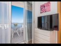 Apartmány Ivi - 100 m from pebble beach: A1(2+2), A2(2+2), A3(2+2), A4(4+4), A5(2+2) Drašnice - Riviera Makarska  - Apartmán - A1(2+2): balkón