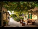 Prázdninový dům/vila Mirta - rustic villa: H(4+2) Podgora - Riviera Makarska  - Chorvatsko  - zahradní terasa