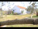 Prázdninový dům/vila Pavica K H(5) Pašman - Ostrov Pašman  - Chorvatsko  - H(5): detail (dům a okolí)