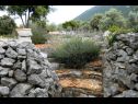 Prázdninový dům/vila Sage - rustic dalmatian peace H(2+1) Trpanj - Poloostrov Peljesac  - Chorvatsko  - detail