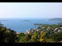 Prázdninový dům/vila Sunce - relaxing & quiet: H(2+2) Maslinica - Ostrov Šolta  - Chorvatsko  - detail