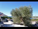 Prázdninový dům/vila Željko - sea view H(4+2) Drvenik Mali (Ostrov Drvenik Mali) - Riviera Trogir  - Chorvatsko  - detail (dům a okolí)