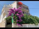 Apartmány Per - 80 m from beach: SA2(2+1), A5(3), A6(2+1), A45(8), SA3(3), A7(2+1) Marina - Riviera Trogir  - dům