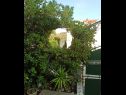 Prázdninový dům/vila Villa Linda - big terraces: H(5+2) Seget Vranjica - Riviera Trogir  - Chorvatsko  - dvůr