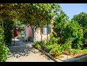 Prázdninový dům/vila Mirjana - beautiful garden with barbecue: H(4+1) Trogir - Riviera Trogir  - Chorvatsko  - zahrada
