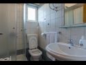 Apartmány Blue Skies - 30 m from the sea: A1(4+1), A2(2+2), SA3(2+1) Ljubač - Riviera Zadar  - Apartmán - A1(4+1): koupelna s WC