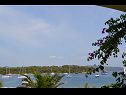 Apartmány Davor - 20m from sea : A1(2+2), A2(2+2), A3(6) Mali Iž (Ostrov Iž) - Riviera Zadar  - pohled